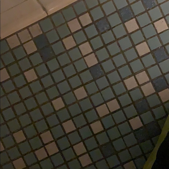 Meet your Posher, Oscar - Picture 1 of 1